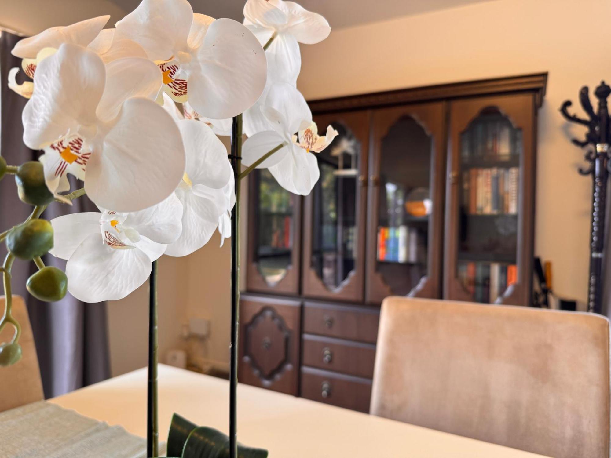 Woodbank Retreat Villa Hanmer Springs Buitenkant foto